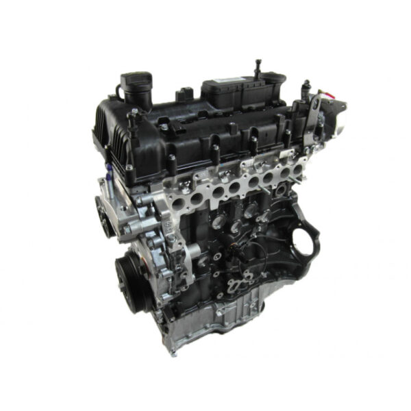 Engine Kia Carnival 2.2 CRDI 195 Hp D4HB Engine