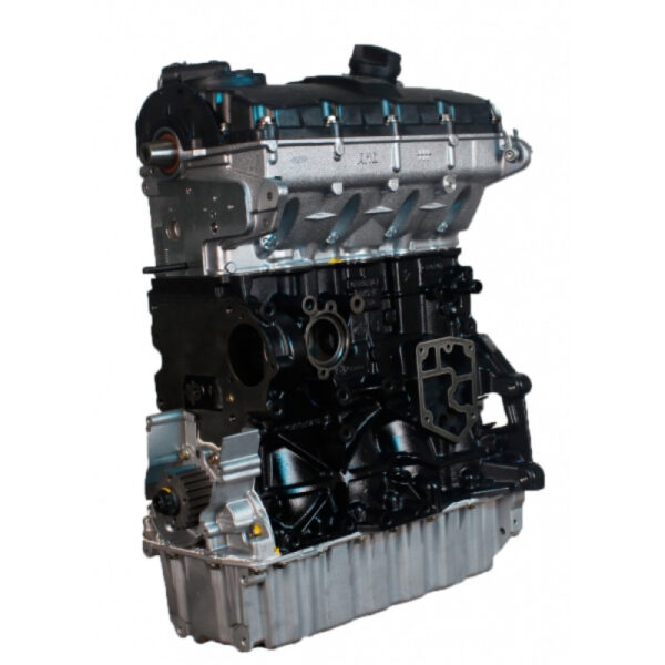 Engine Volkswagen Golf V 1.9 TDI 105 Hp BLS